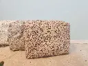 20250727_103636.webp